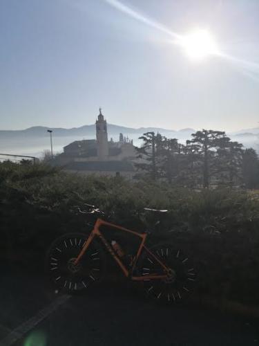 ax